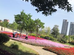 -文华公园(禅城区)