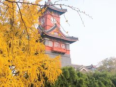 -四川大学(华西校区)