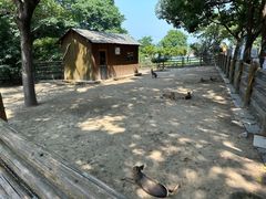 -苏州太湖西山岛开心农场