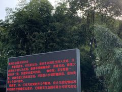 -新洲生态园