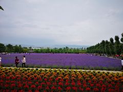 -富田农场