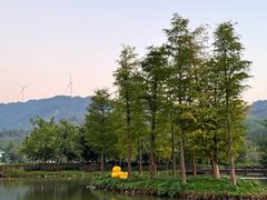 -森波拉火山温泉