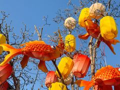 -龙湖星悦荟(颐和店)