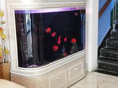 -海乐健康美食·SPA水疗会(水都假日酒店)