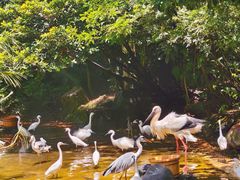 -珠海长隆海洋王国