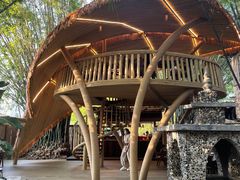 -勐丽梦兰傣味餐厅