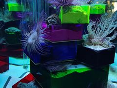 -太平洋海底世界