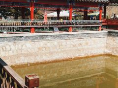 -尚庄度假村·庭台树下·户外烧烤·团建CS·轰趴营地(上庄水库店)