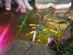 -泉城欧乐堡海洋极地世界
