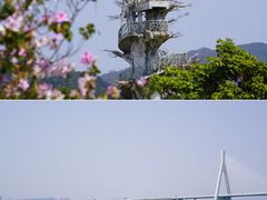 -芒洲湿地公园