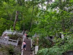 -洛阳白云山景区