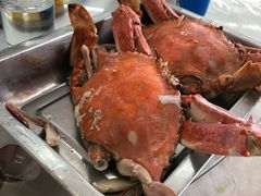 -渔民船说·北塘海鲜·天津菜·海肠捞饭(北塘古镇店)