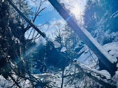 -峡谷浮石林景区