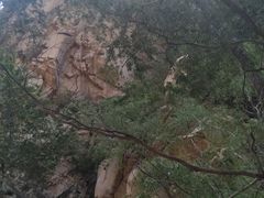 -碓臼峪自然风景区