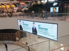-TheRink大零溜冰场(IFS国金中心店)