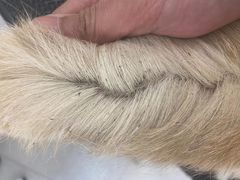 -comecome来吧宠物(奥克斯中心店)