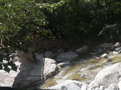 -青峰峡国家森林公园