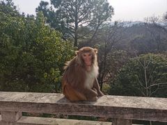 -苏州上方山国家森林公园