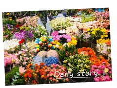 -双季花艺园艺市场(浦东店)