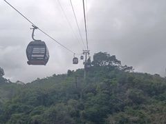 -呀诺达热带雨林