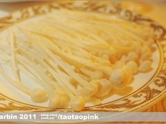 -龙福成肥牛火锅(文昌店)