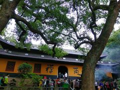 -普陀山风景名胜区-法雨禅寺
