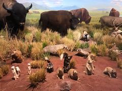 -陕西自然博物馆