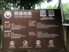 -都江堰中华大熊猫苑