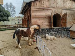 -HERRE·FARM 赫尔露营农场·团建聚会包场