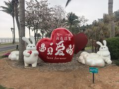 -野狸岛
