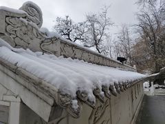 -高尔山公园