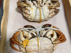 -黄记大闸蟹专卖店·活蟹·醉蟹