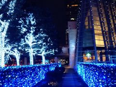 -陆家嘴空中步行连廊