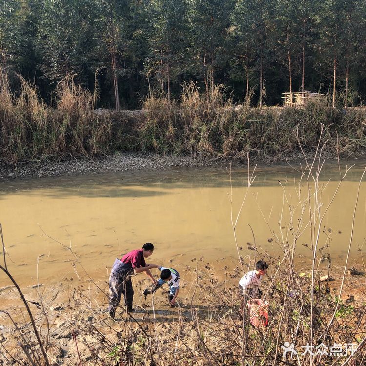 山塘水库摸鱼虾