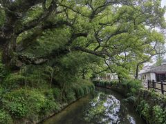 -古堰画乡景区