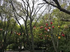 -天目湖山水园