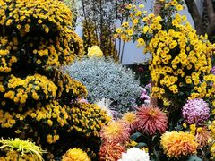 -杭州植物园