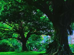 -荔香公园