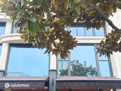 -lululemon(比斯特购物村店)