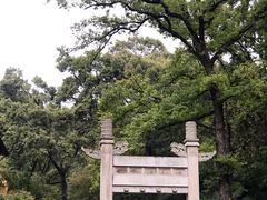 -灵谷景区