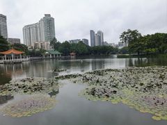 -荔湾湖公园