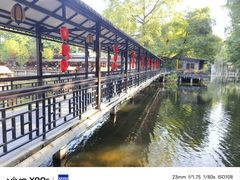 -侨美·唐荔园·40年地道粤菜