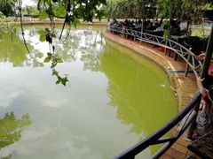 -侯臣咖啡文化村