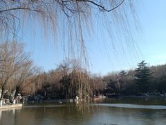 -西安市长乐公园