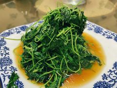 酒香金花菜-协和菜馆(凤凰街店)