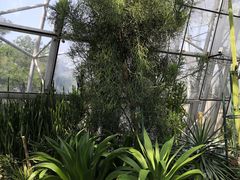 -北京植物园-展览温室
