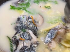 -鲜潭蒸汽石锅鱼(五道口购物中心店)