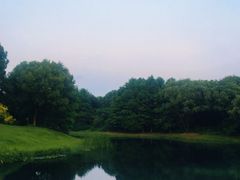 -贡湖湾湿地公园