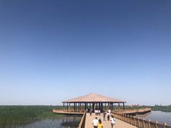 -白洋淀景区