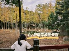 -艾溪湖湿地公园